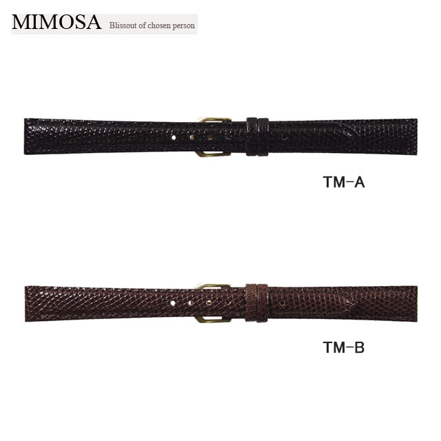 ミモザ MIMOSA CMトカゲ TM　トカゲ  10mm ～ 15mm