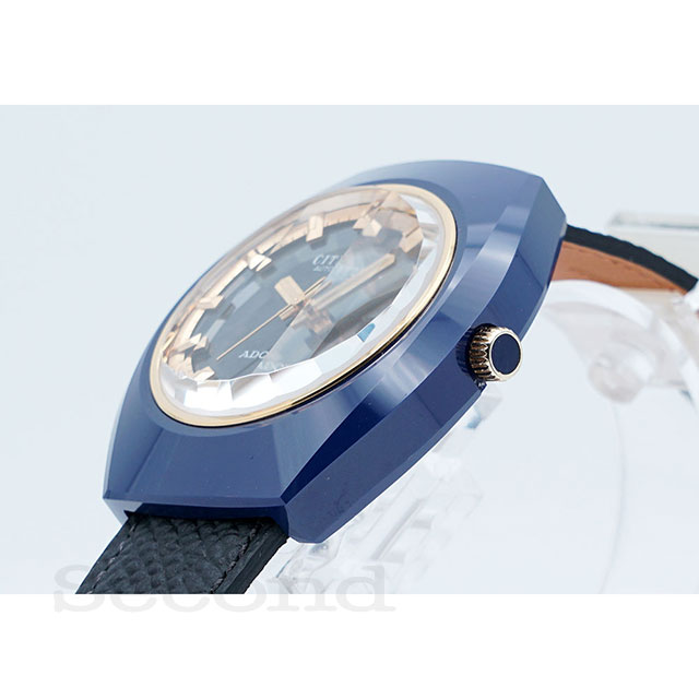 あるぜんちん Nissan Altima Armada Maxima Infiniti QX60 QX80 OEM Distance